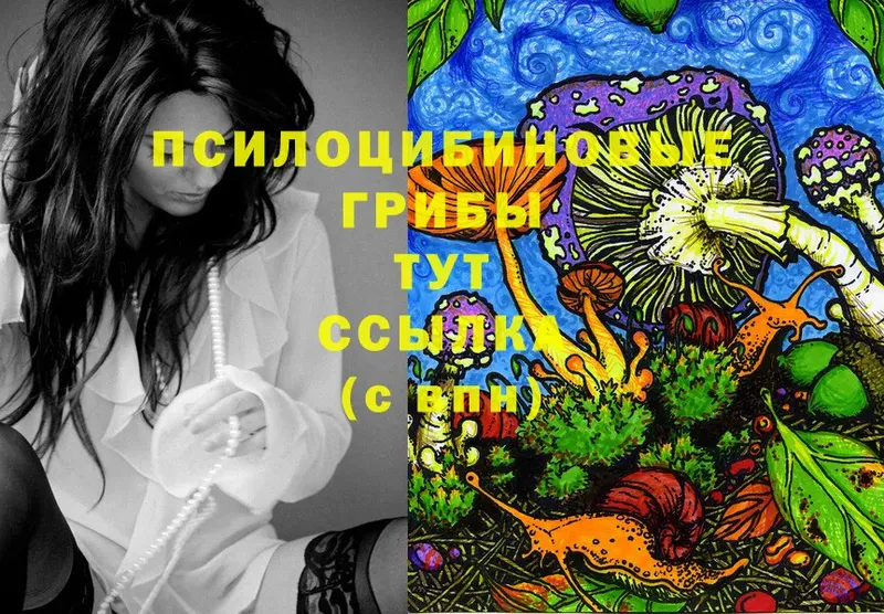 Псилоцибиновые грибы GOLDEN TEACHER  Тюмень 