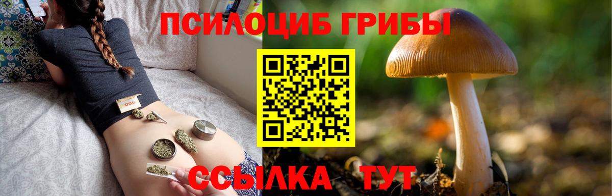 Галлюциногенные грибы Magic Shrooms  Вход с VPN  Тюмень 